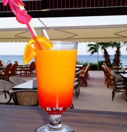 Hotel Ekin