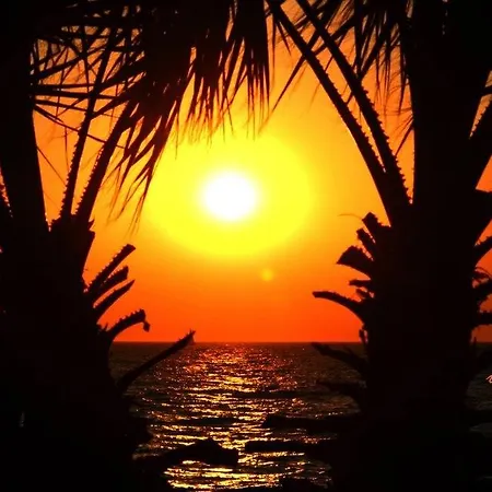 فندق Ekin كوشاداسيه